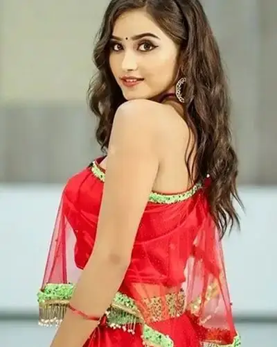 Call Girls Service Sawer